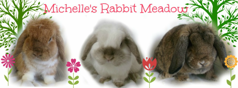 Michelle's Rabbit Meadow